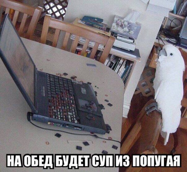 Так себе картинки 14.05.20