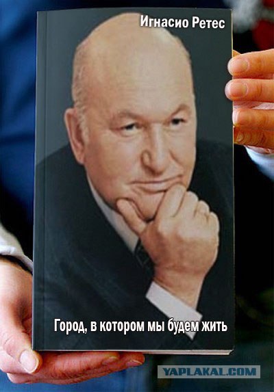 Фотожаба: Книги!