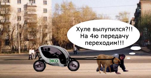 Лучший друг человека.... или наоборот!?