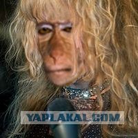 Проспал экзамен!