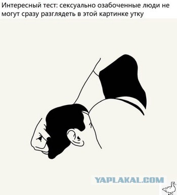 Фотки и картинки: юморные и красивые, забавные и милые 24.09.20