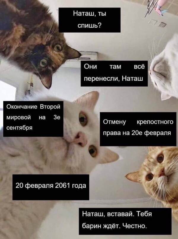 Наташа, вставай!