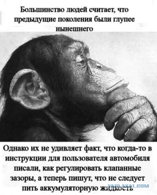 Картинки и мемы для настроения 029
