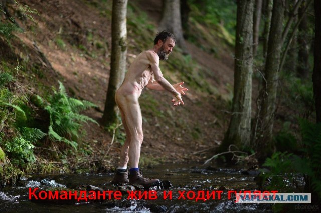 Жабы на тему странного мужика