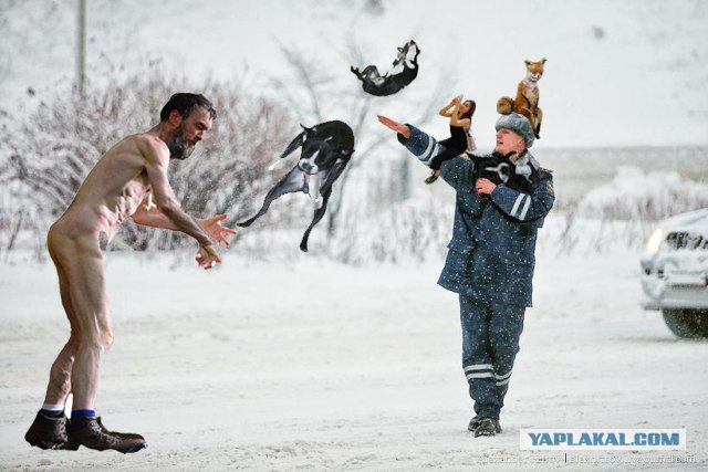 Фотожаба: полицейский в снегу
