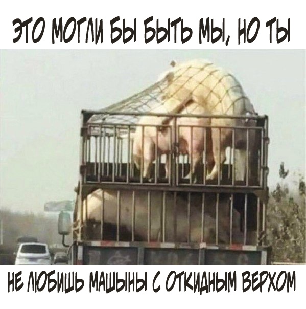 Весёлый полтишок 18.02