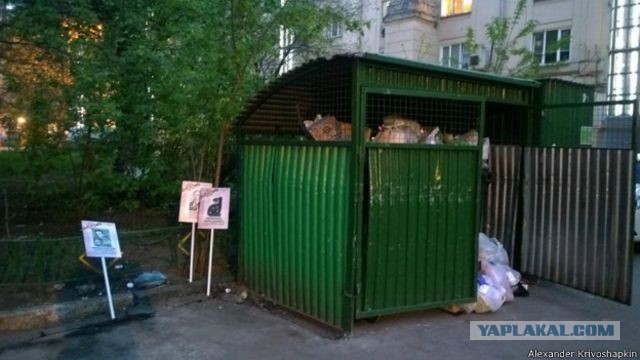 Девочки-дизайнерки наносят новый удар