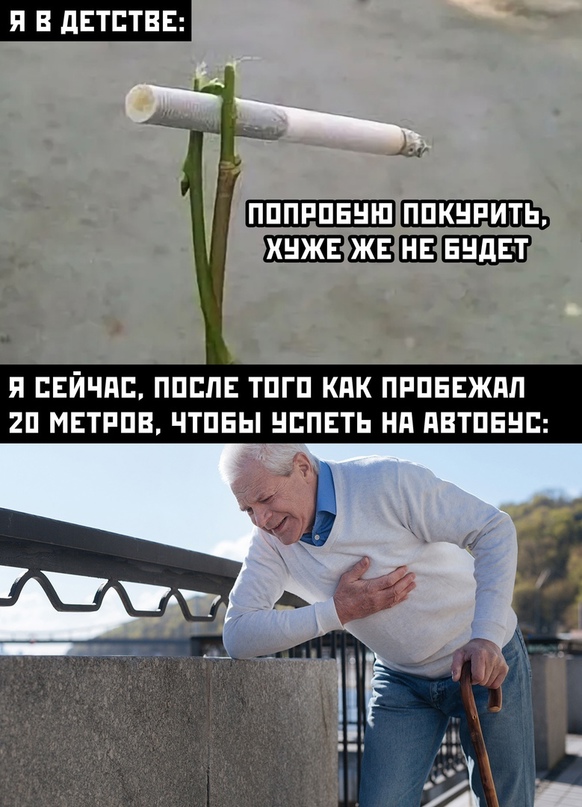 Весёлый полтишок 8.08