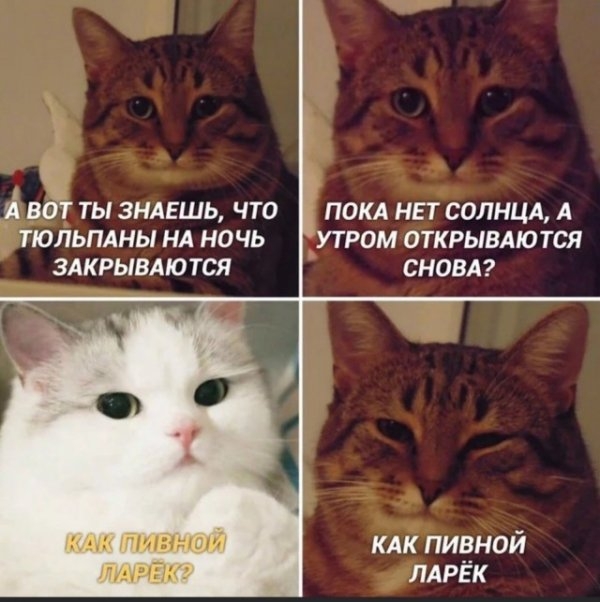 Картинки и мемы, всем прекрасных выходных