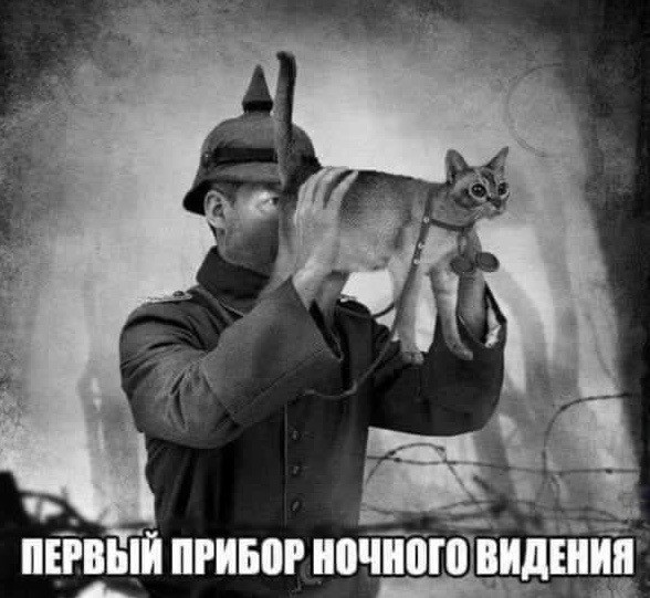 Утепляйтесь!