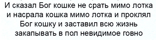 Аморальная деградация