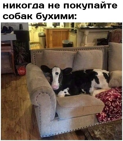 Картинки и мемы для настроения 21.12.21