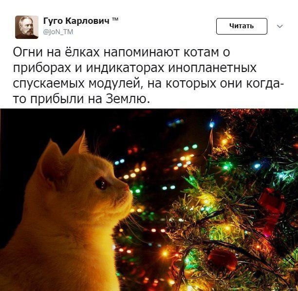 Пандемия. Коронавирус. Россия и мир. Часть 28