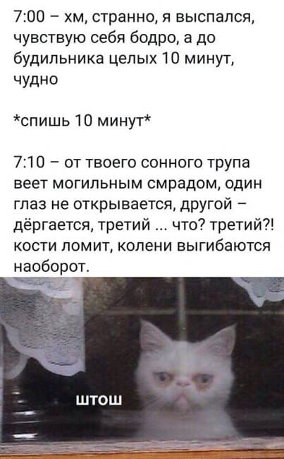 Баянисто-небаянистый юмор 31.01.22