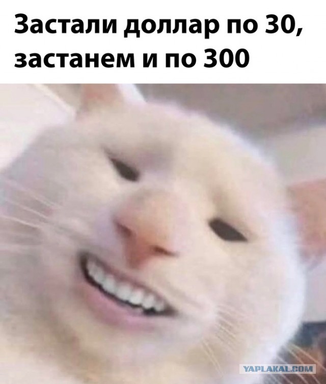 Весёлый полтишок 28.02.22