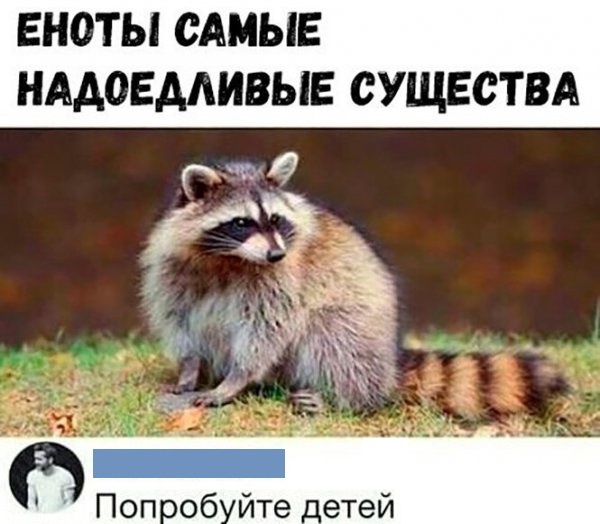 Так себе картинки 07.04.22