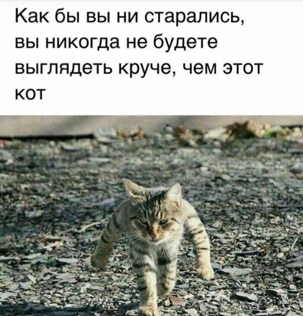 Воскресенье. Вечер. Картинки для зарядки позитива на понедельник