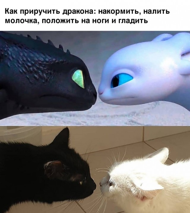Картинки и мемы для настроения - 03