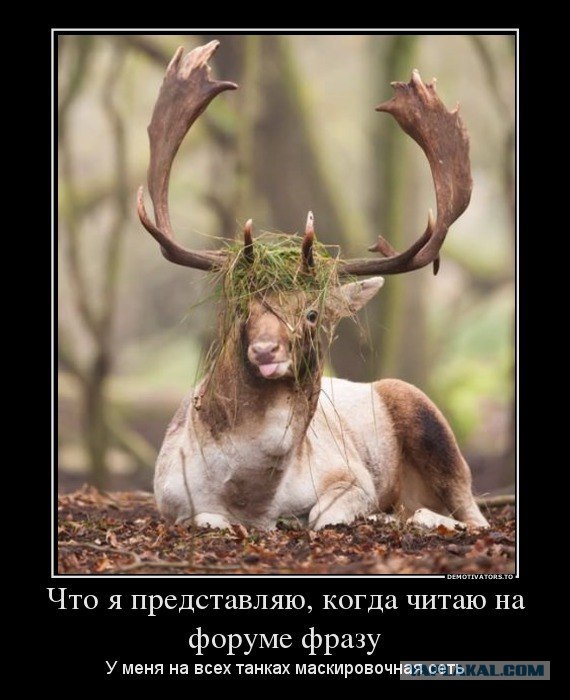 Wargaming 2
