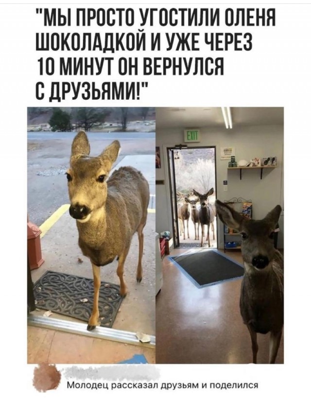 Картинки и мемы. Выходные близко...