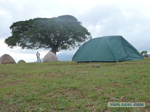 AFRICA - (Эфиопия,Кения,Танзация) 4-16 ноября 2011