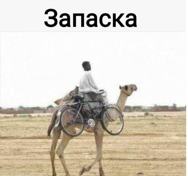 Немного картинок для настроения - 129