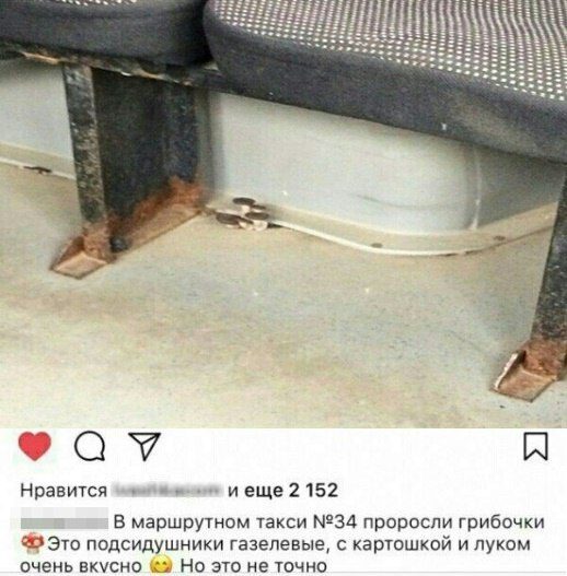 Строчки