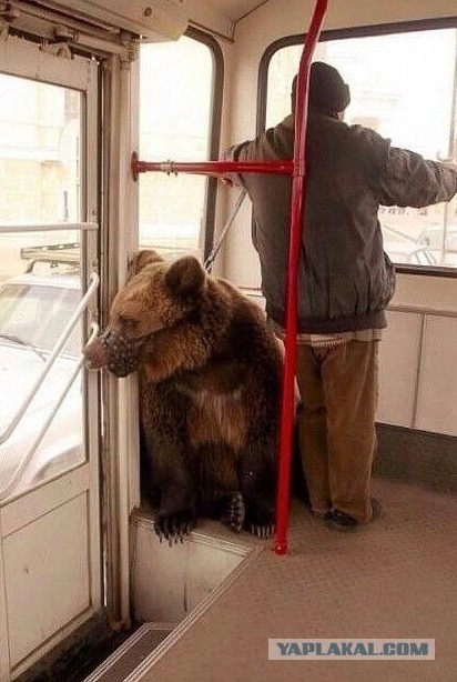 Блатной угол в ЛиАЗе