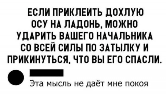 Народная меДИЧина 4005