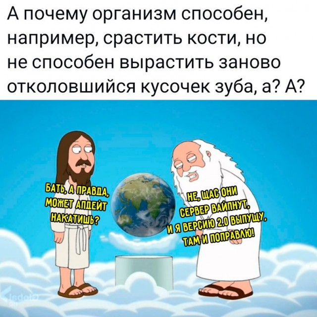 Несправедливость эволюции