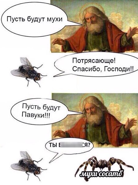 Не смог убить муху и решил провести научный эксперимент! Финал эксперимента . Выводы.