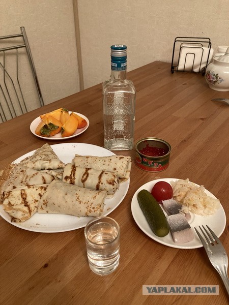 Булгаков о дружбе водки и селедки