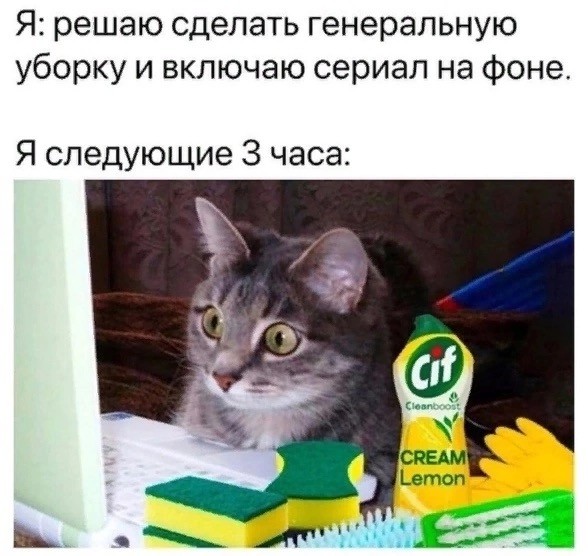Веселые картинки во вторник (03.12)