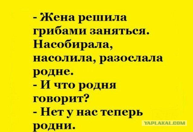 Весёлый полтишок 29.12.24