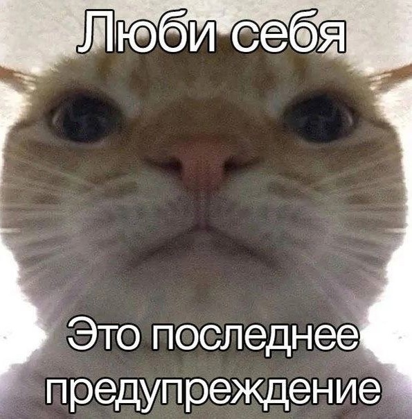Гнездо параноика (Бояны)