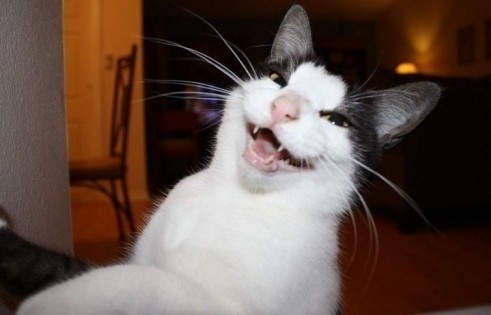 Похоже на анекдот