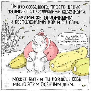Мне пока тоже кабачка никто не дал