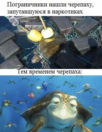 Веселое настроение в картинках (15.08.2025)