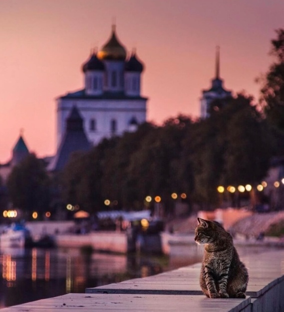 Так всякие картинки