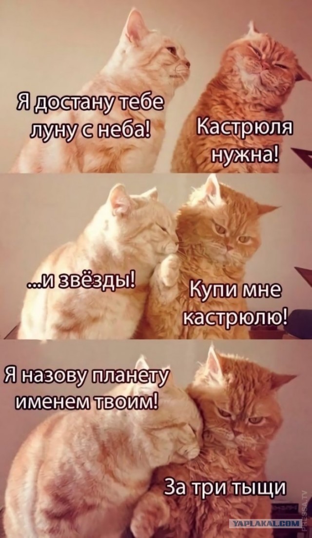 Обмен любезностями