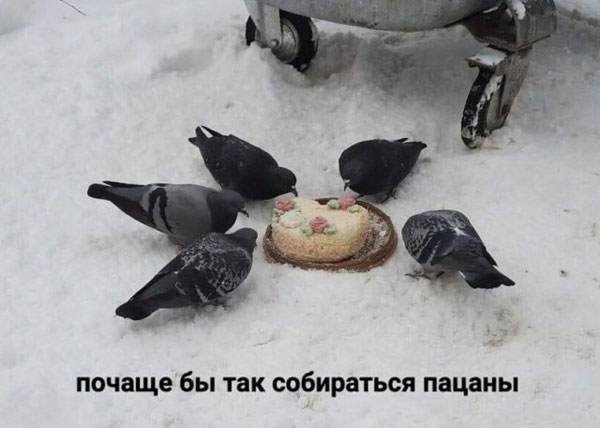 Понедельник всегда внезапен
