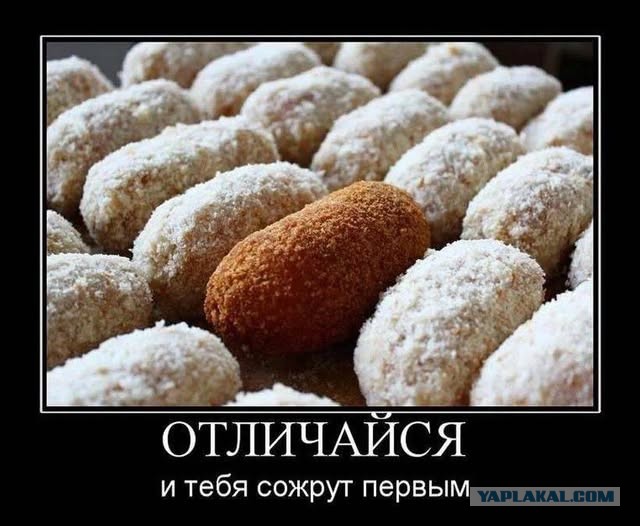 Картиночки, баянчики 16 декабря
