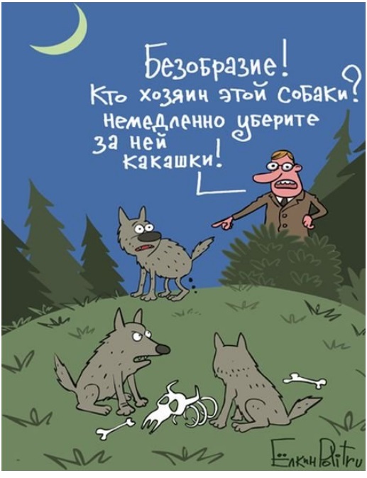 Картинки для деградации 127 (разной степени свежести)