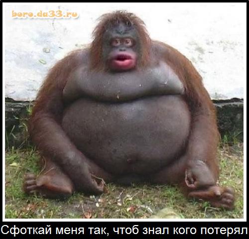 Сияющий град на холме.