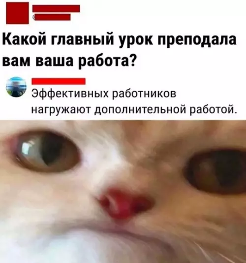 Картиночки, баянчики 11 марта