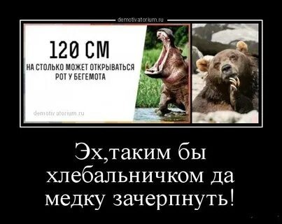 Съем шоколадочку с чаем