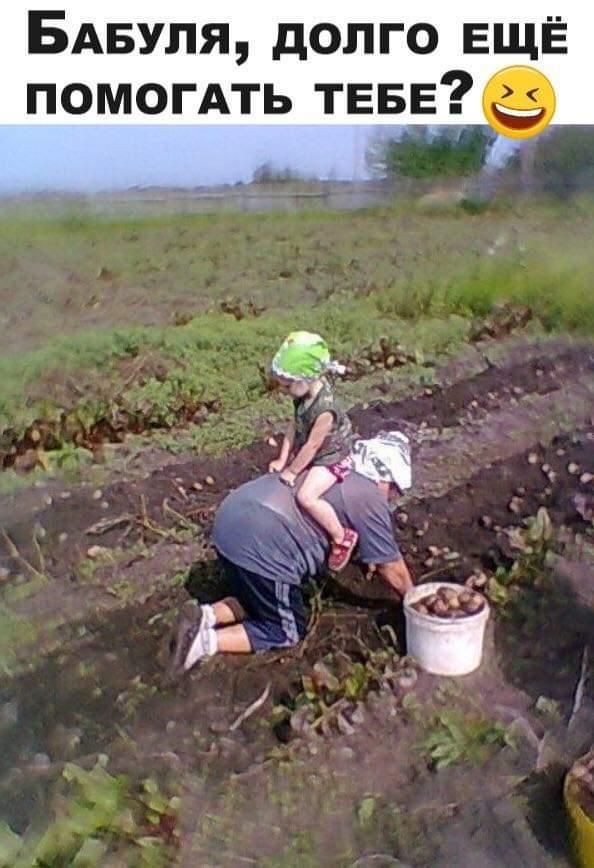 Прикольные и просто красивые картинки 21.08.2026