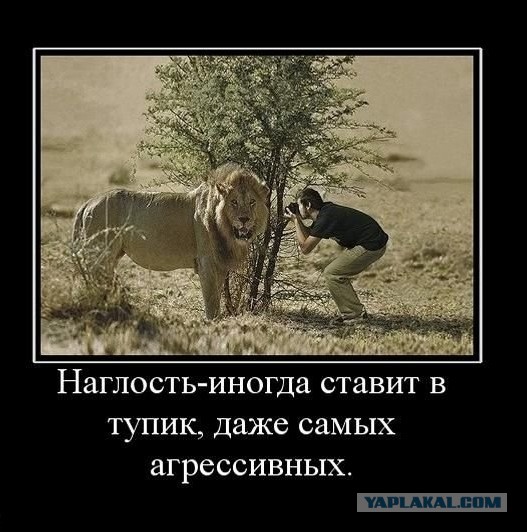 Прикалдэски