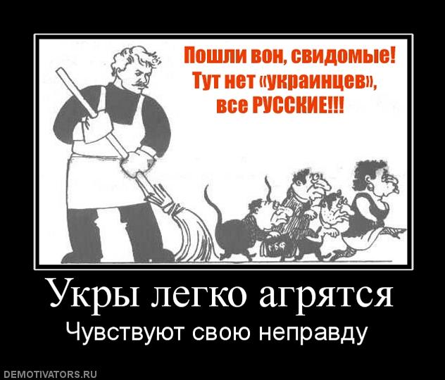 Перепалка в Киеве