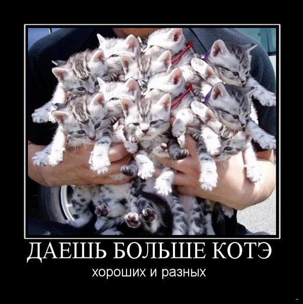 Скажите... оно в самом деле настоящее?!